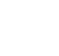 ituran fleet