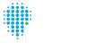 ituran